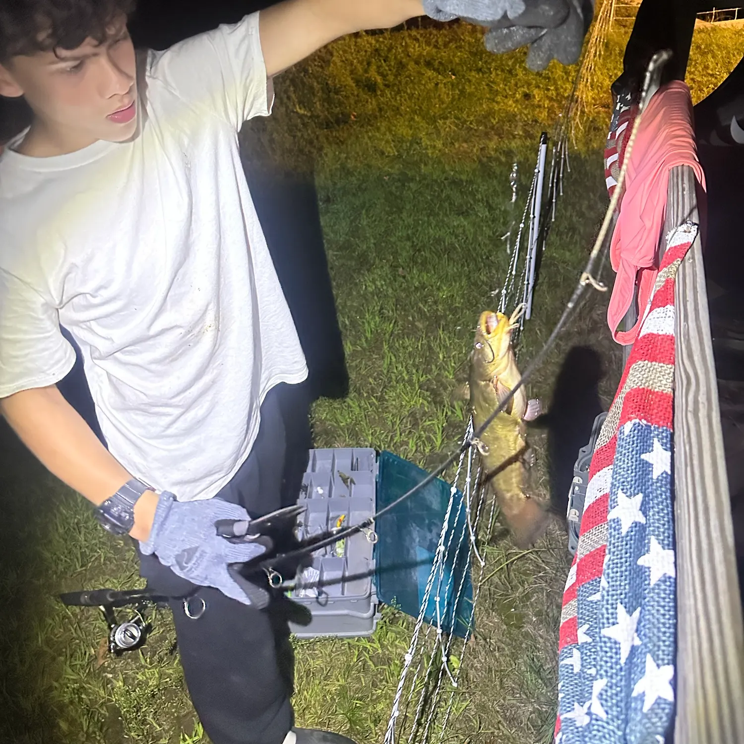 Yellow bullhead caught on Fishbrain