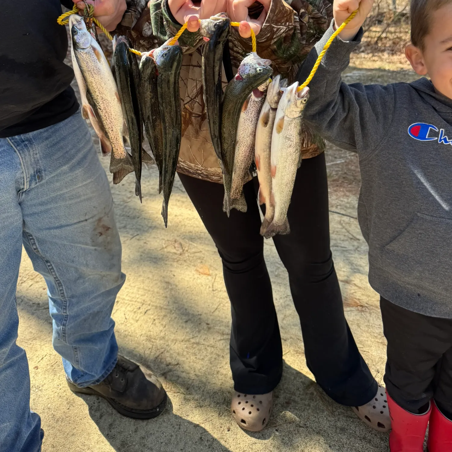 recently logged catches