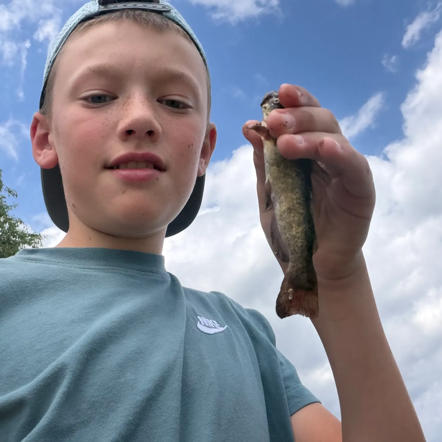 The most recent Black bullhead catches on Fishbrain