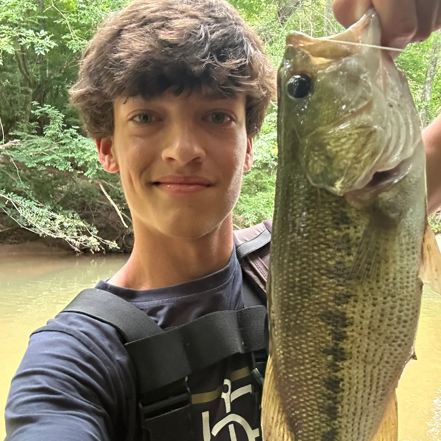 The most recent Alabama bass catches on Fishbrain