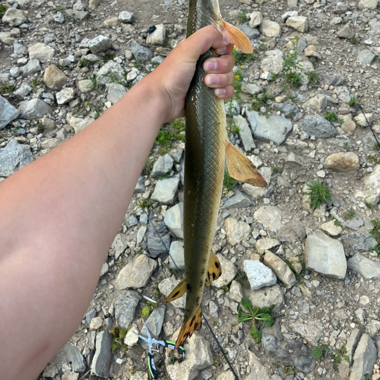 catch