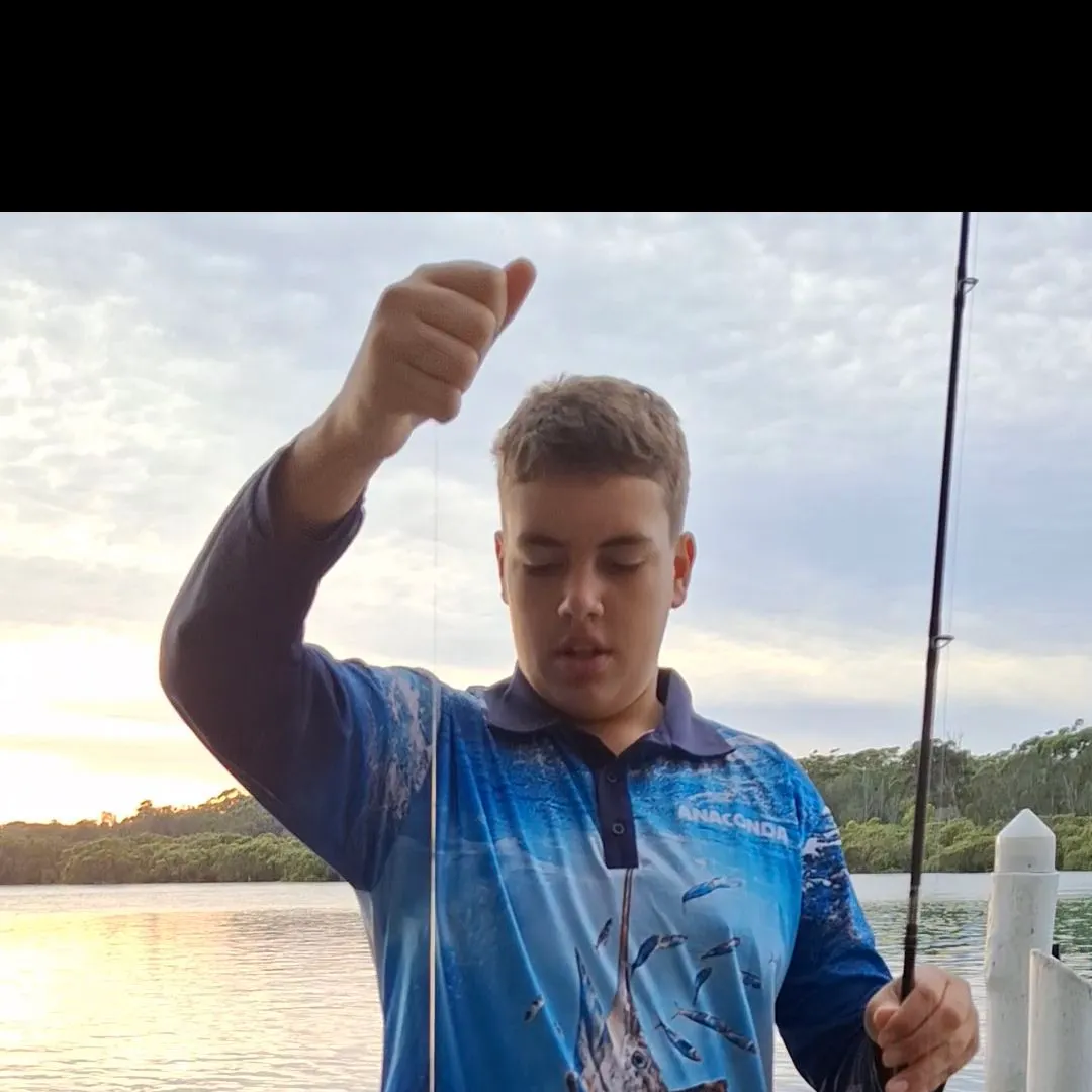 Australasian snapper caught on Fishbrain