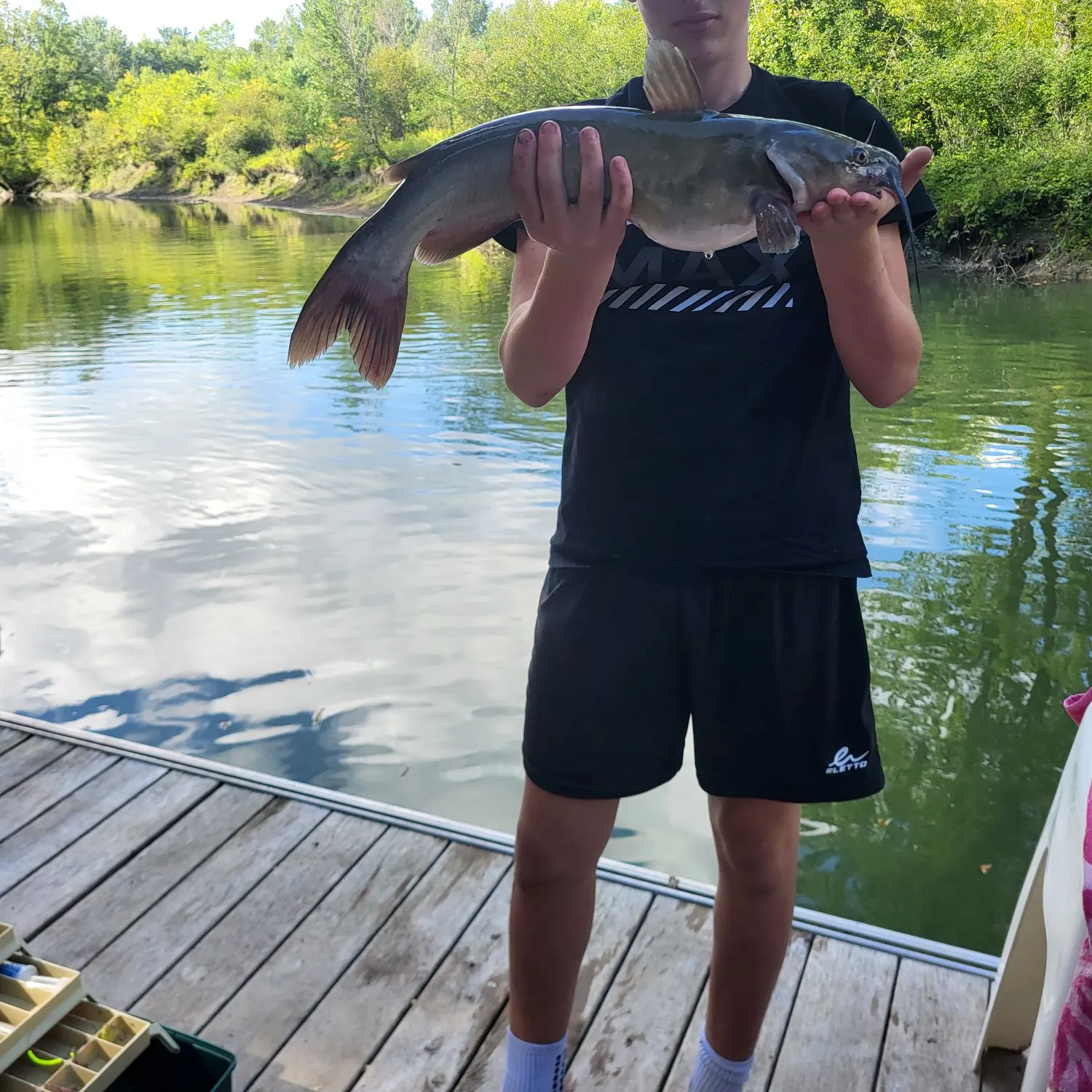 Channel catfish caught on Fishbrain