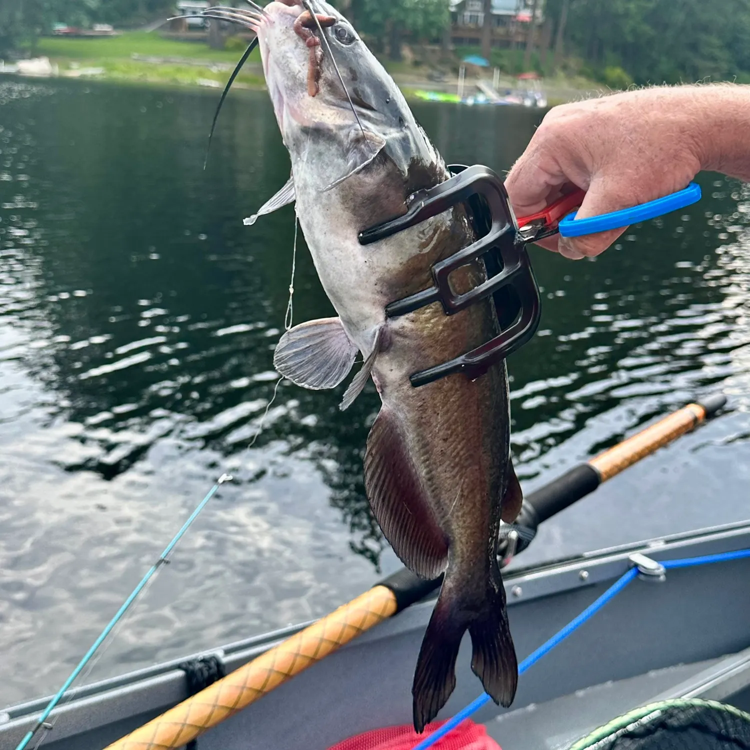 catch