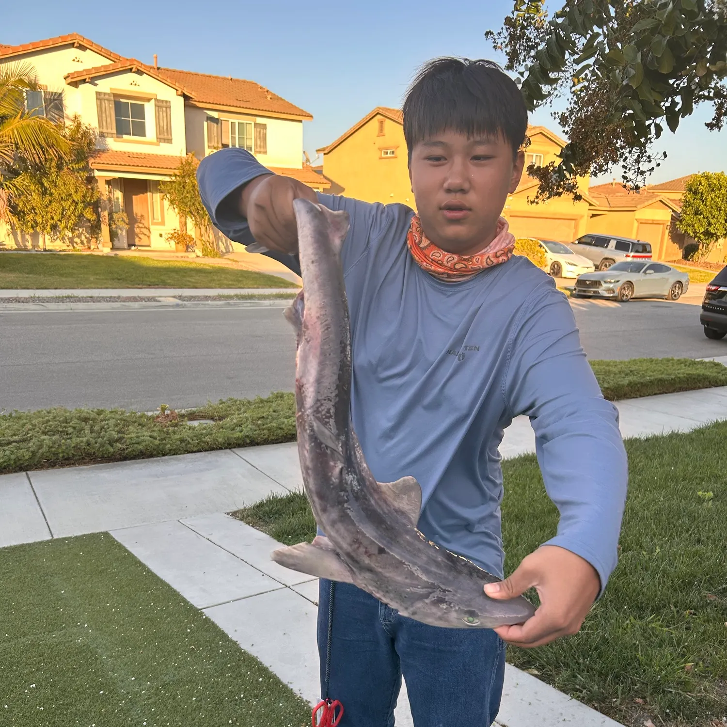 The most recent Pacific spiny dogfish catches on Fishbrain