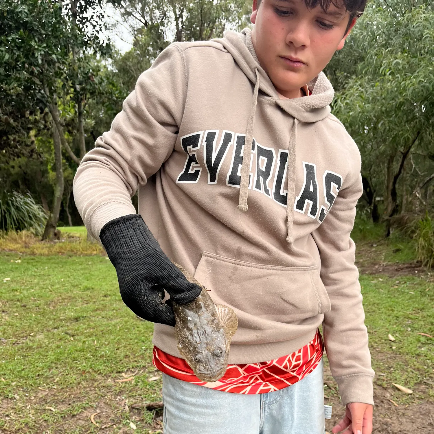 The most recent Dusky flathead catches on Fishbrain