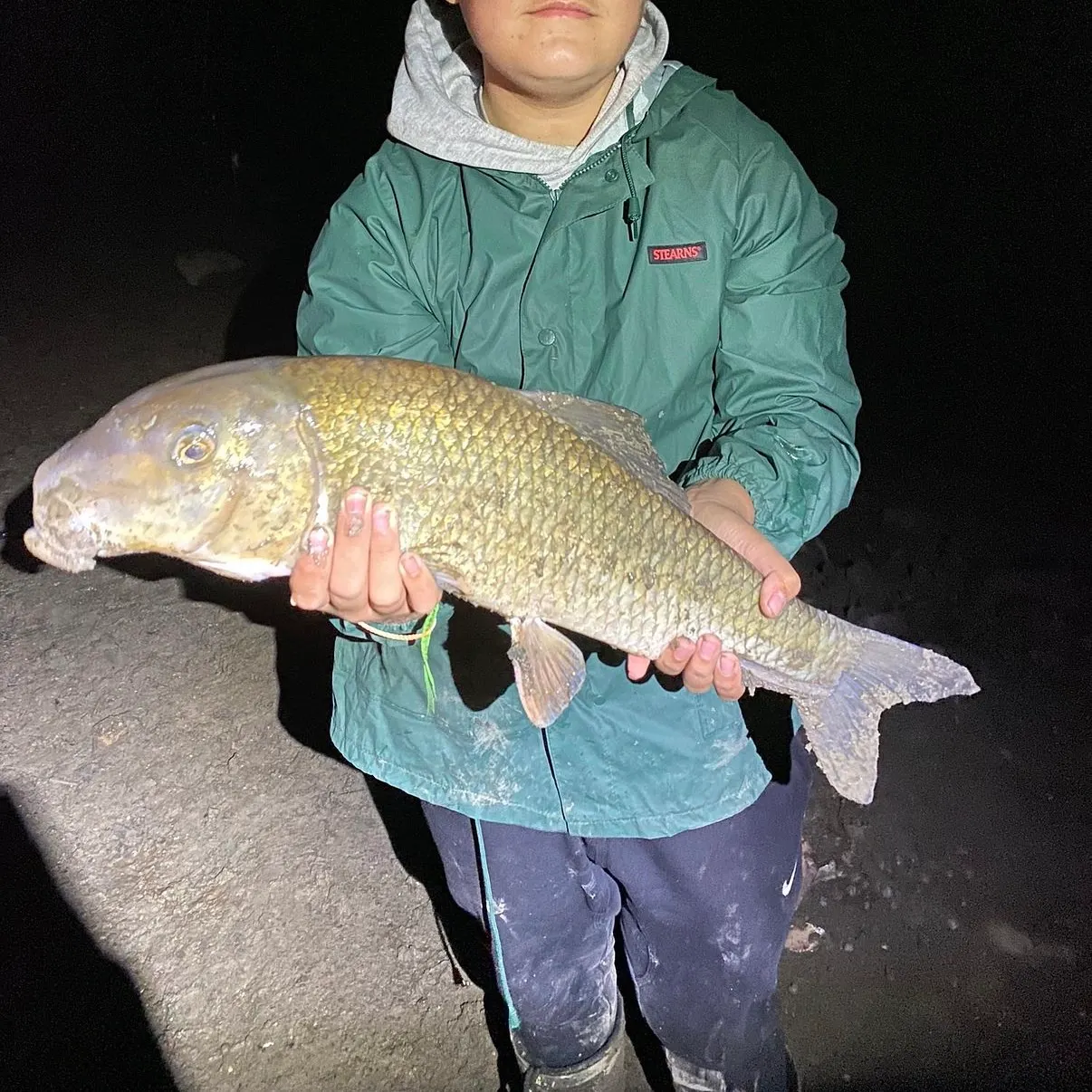 The most recent Silver redhorse catches on Fishbrain