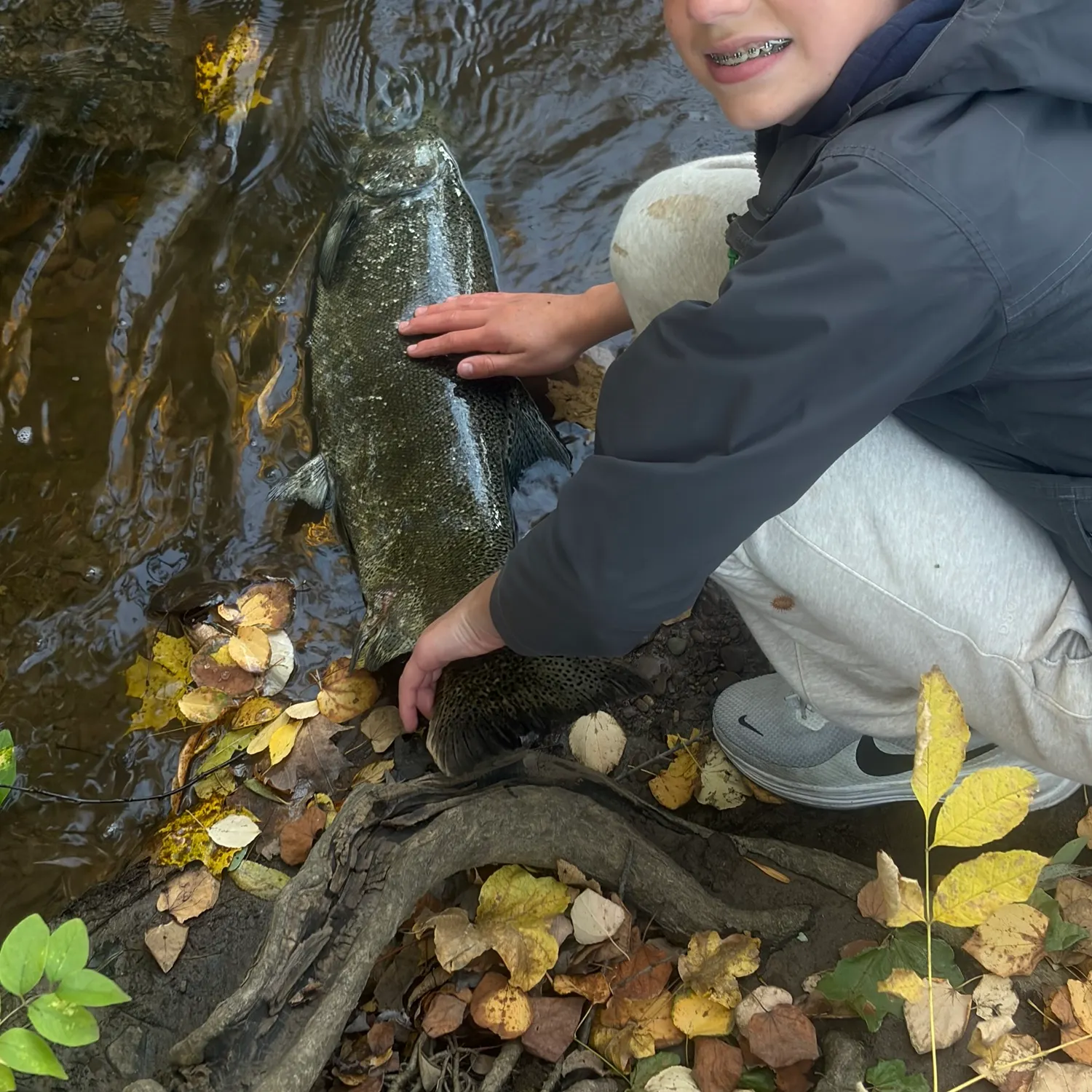 Chinook salmon caught on Fishbrain