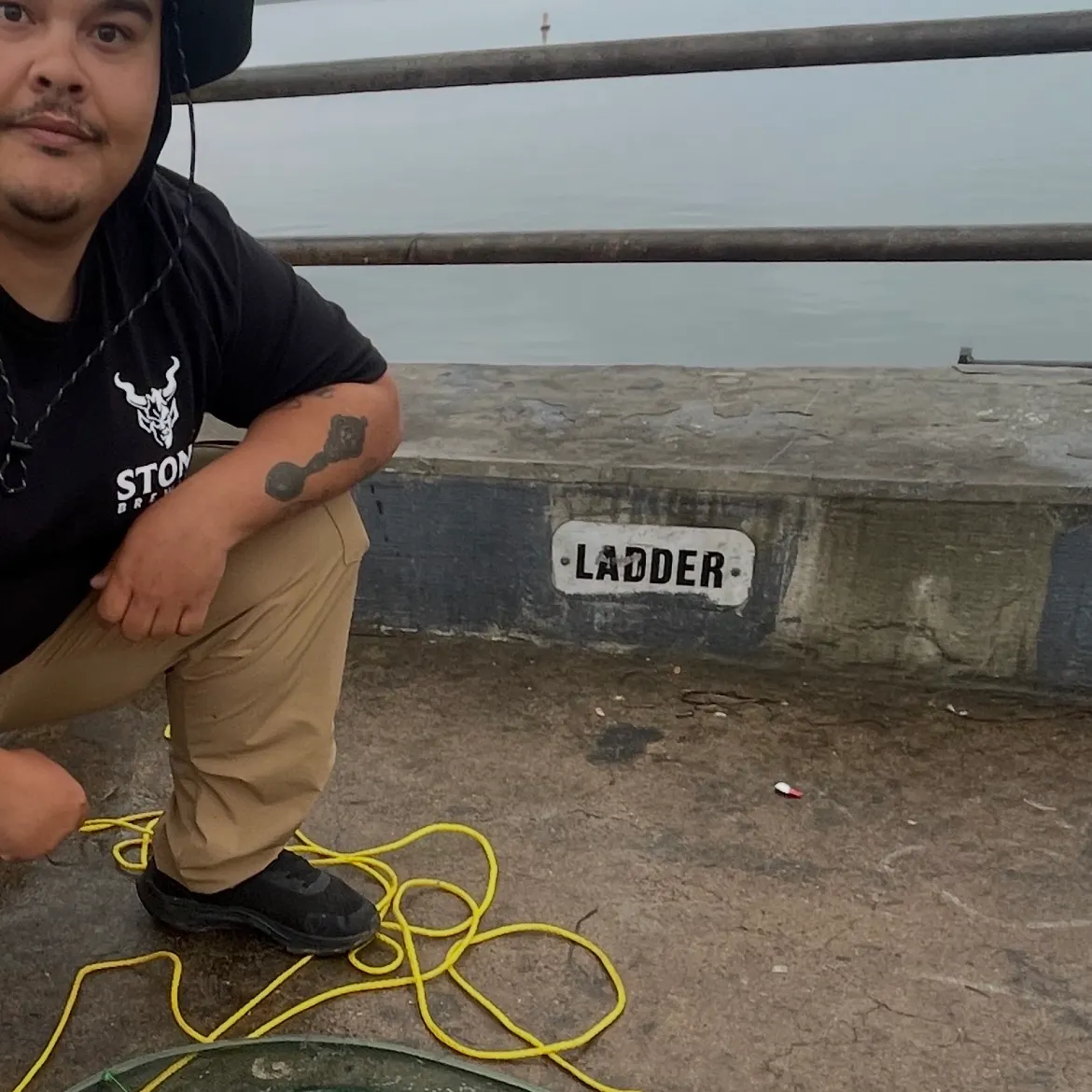 The most recent Diamond stingray catches on Fishbrain