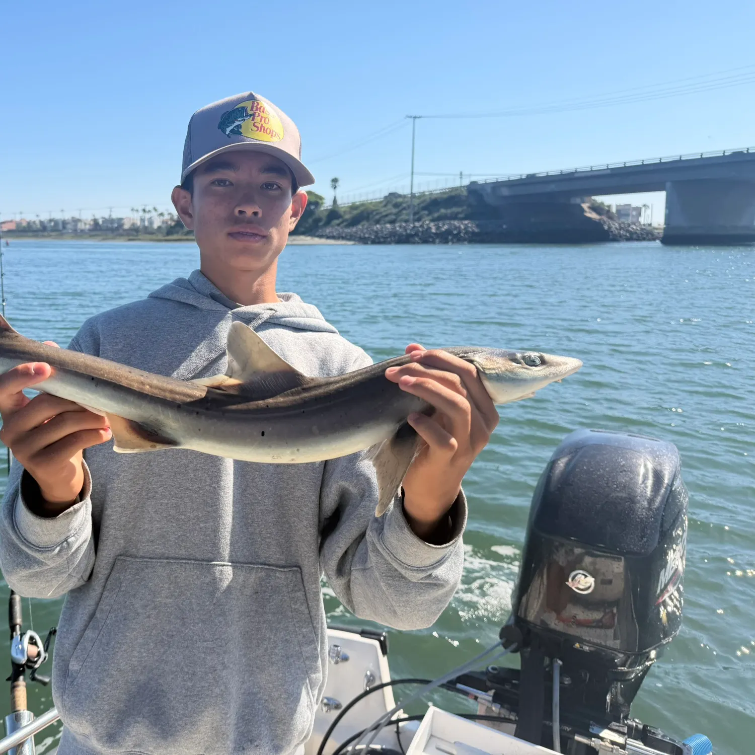 The most recent Grey smooth-hound catches on Fishbrain