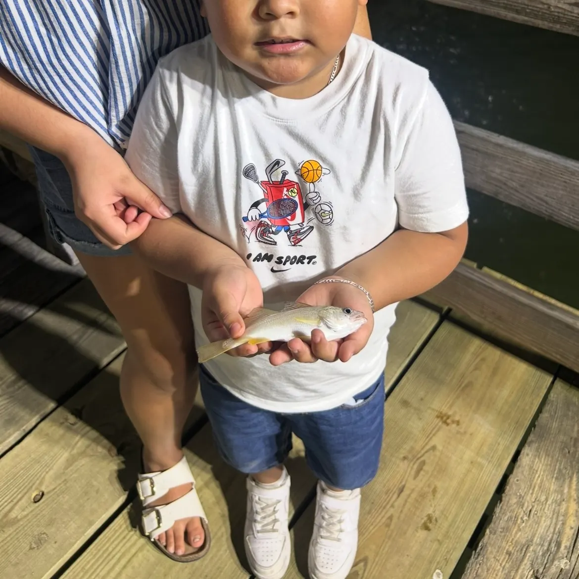 The most recent Silver perch catches on Fishbrain