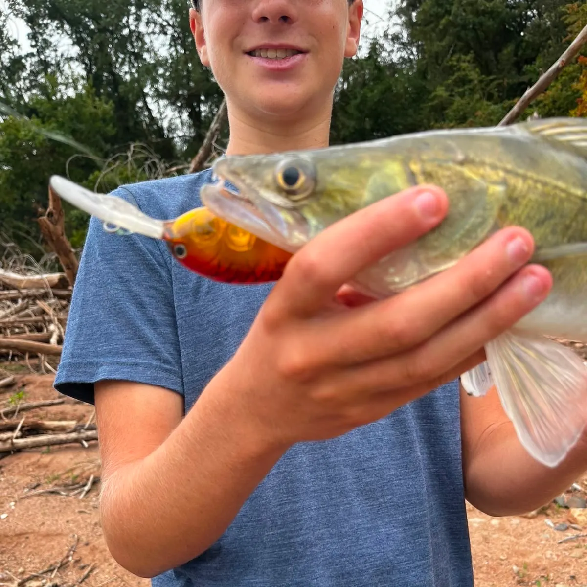 Zander caught on Fishbrain