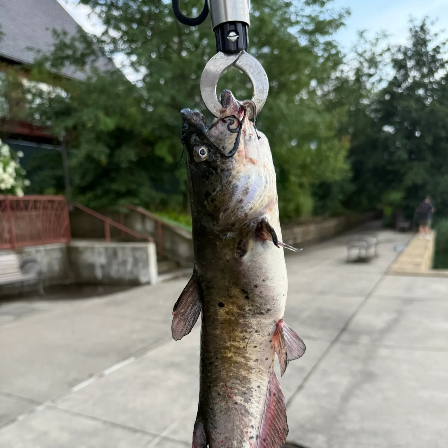 catch