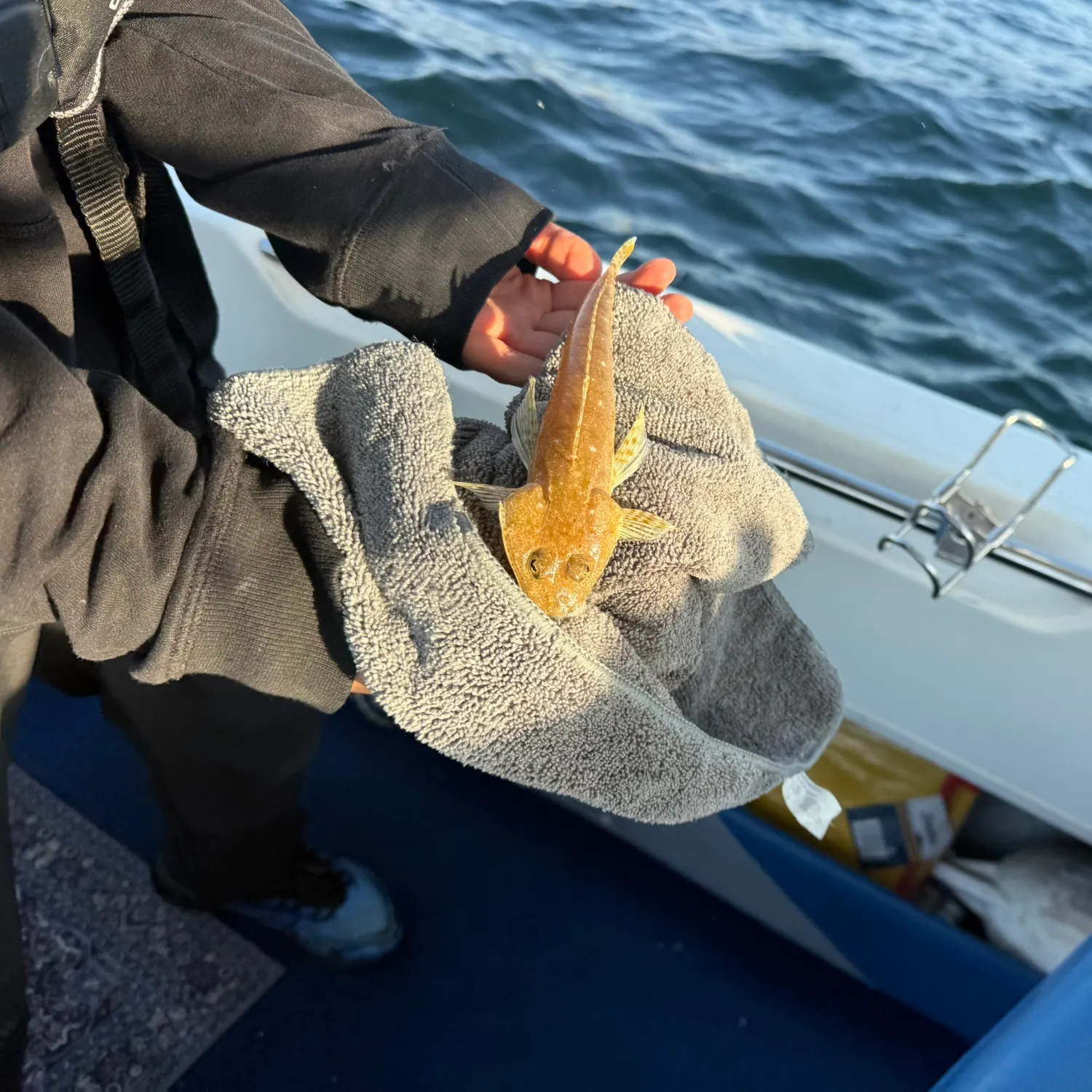 Dusky flathead caught on Fishbrain