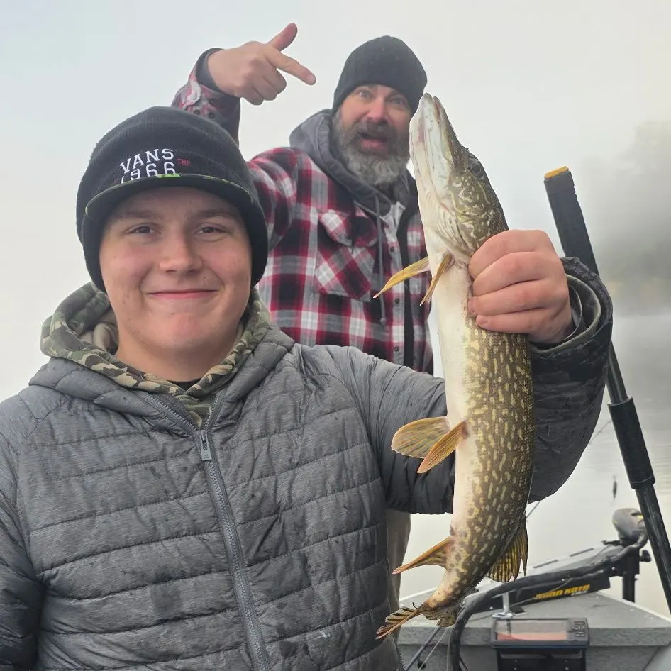 Northern pike caught on Fishbrain