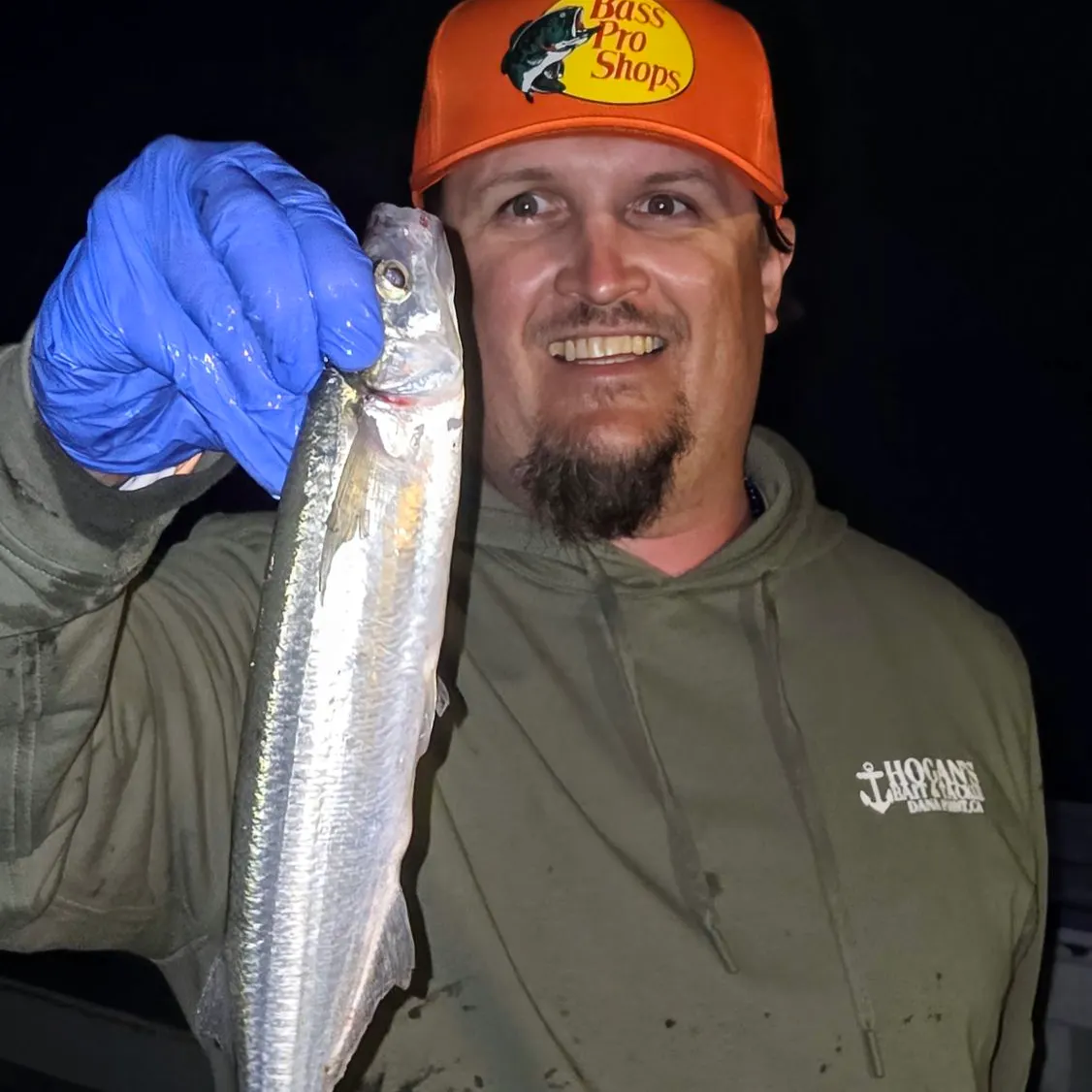 The most recent Surf smelt catches on Fishbrain