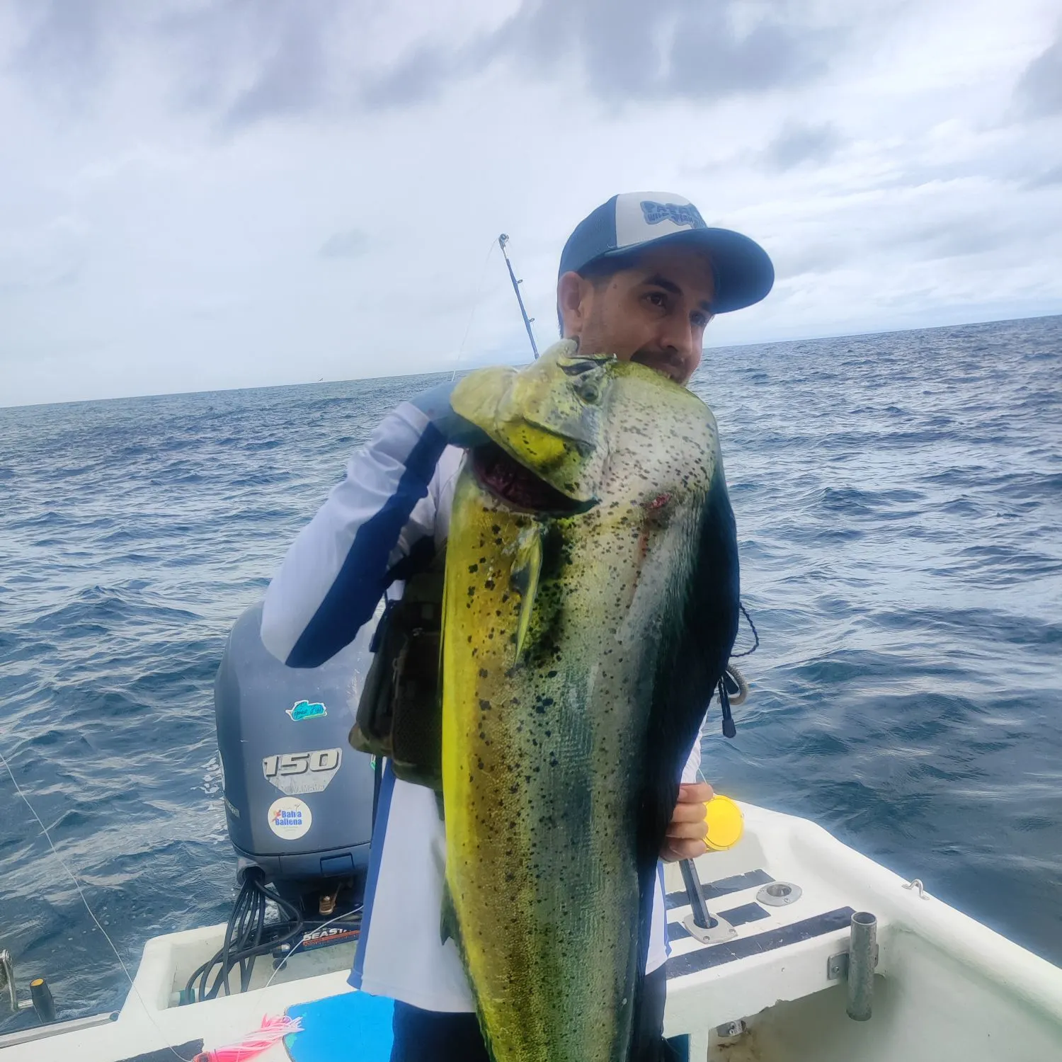 The most recent Common dolphinfish catches on Fishbrain