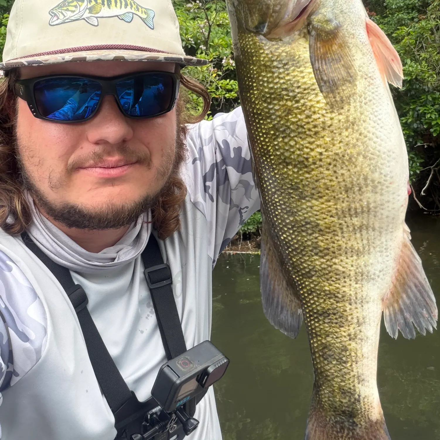 The most recent Shoal bass catches on Fishbrain
