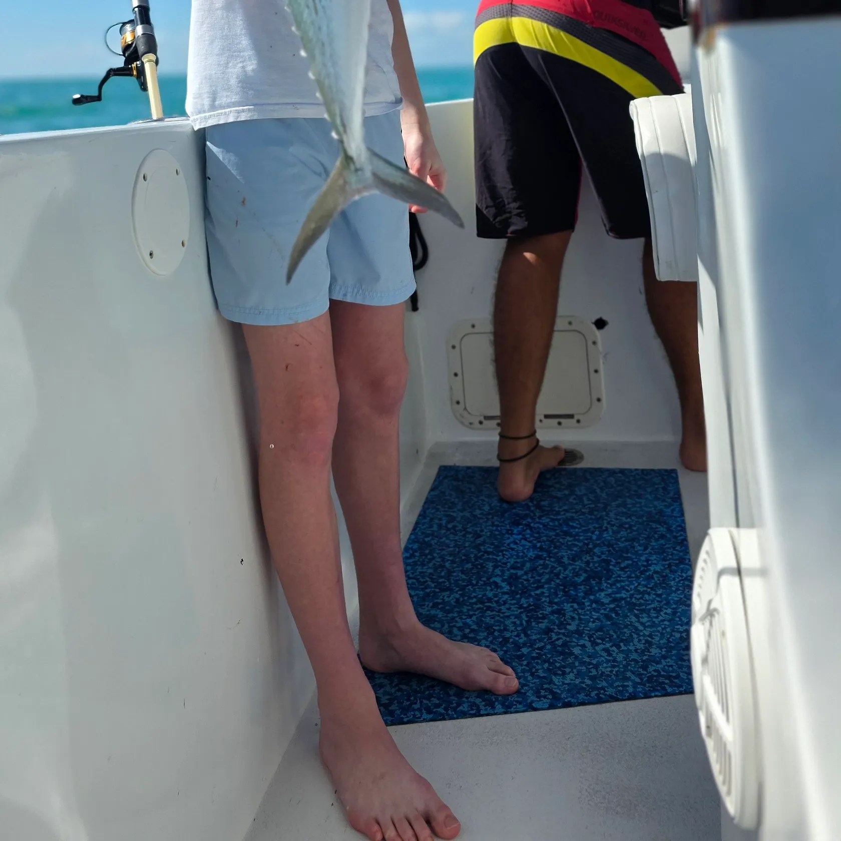 The most recent Cero mackerel catches on Fishbrain