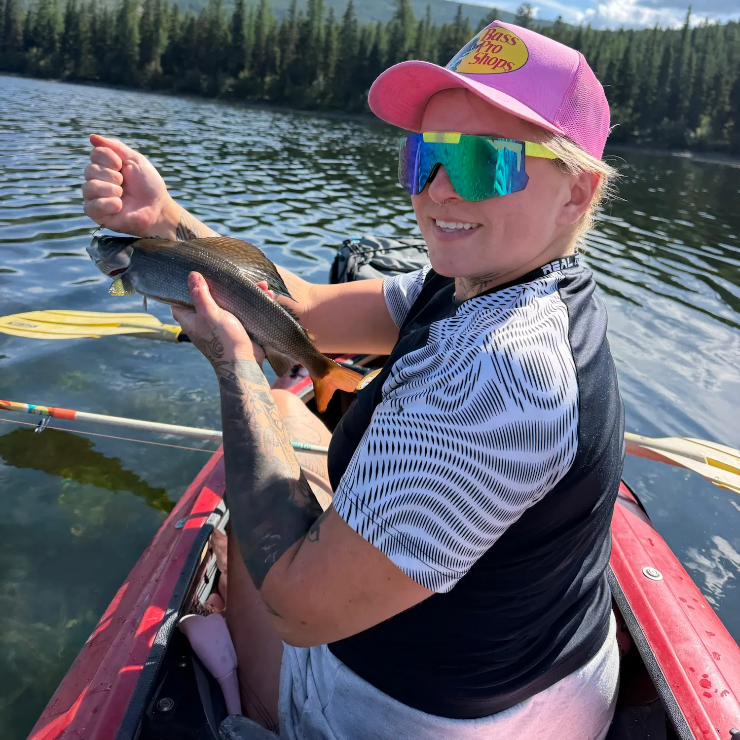 Arctic grayling caught on Fishbrain