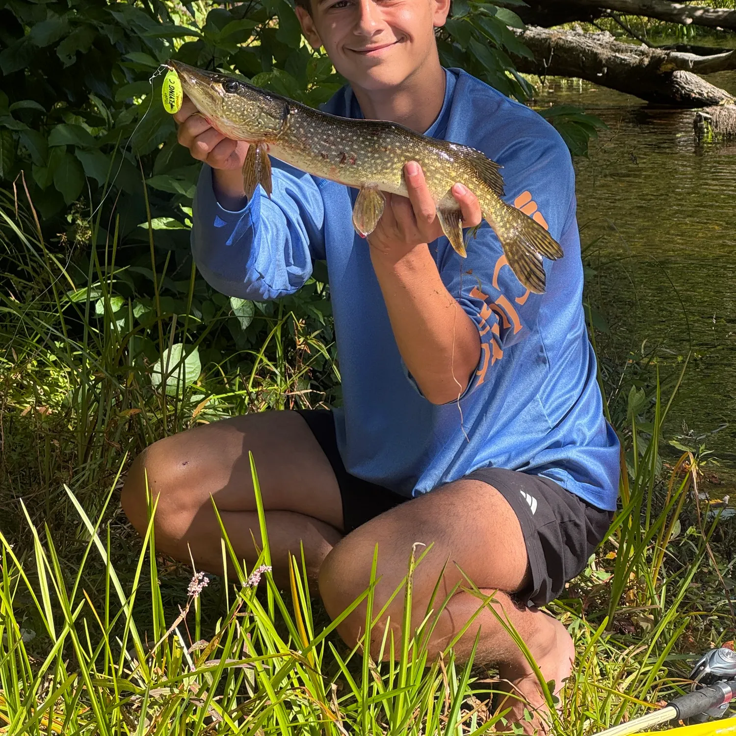 Northern pike caught on Fishbrain