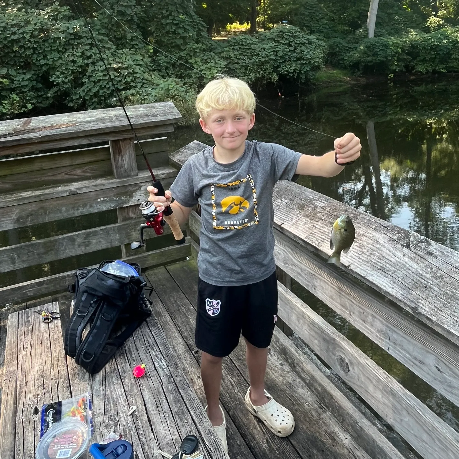 Bluegill caught on Fishbrain