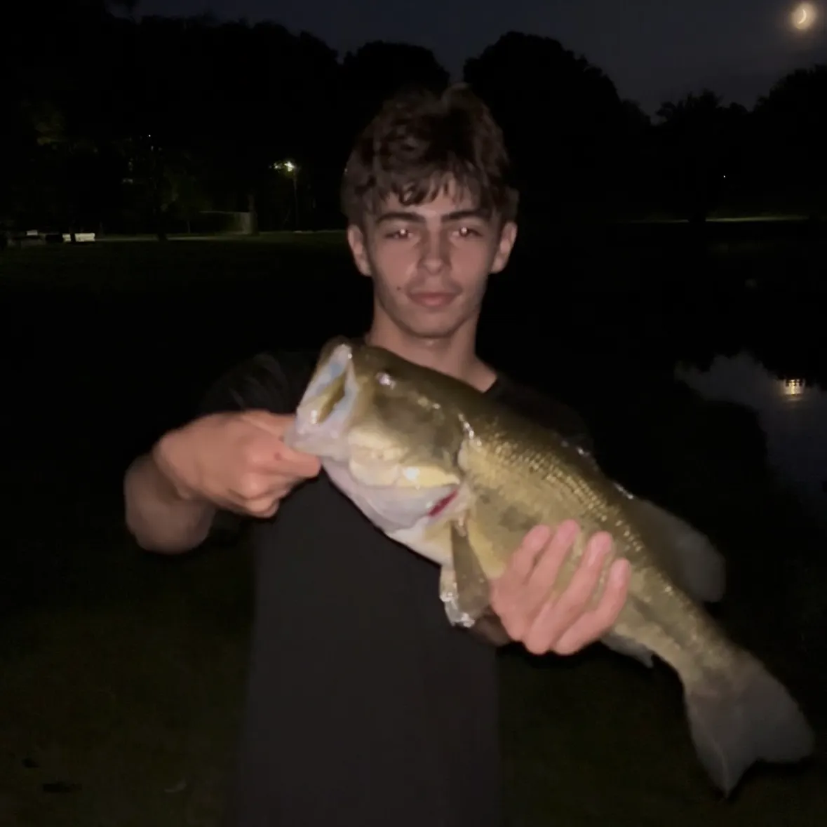 Largemouth bass caught on Fishbrain