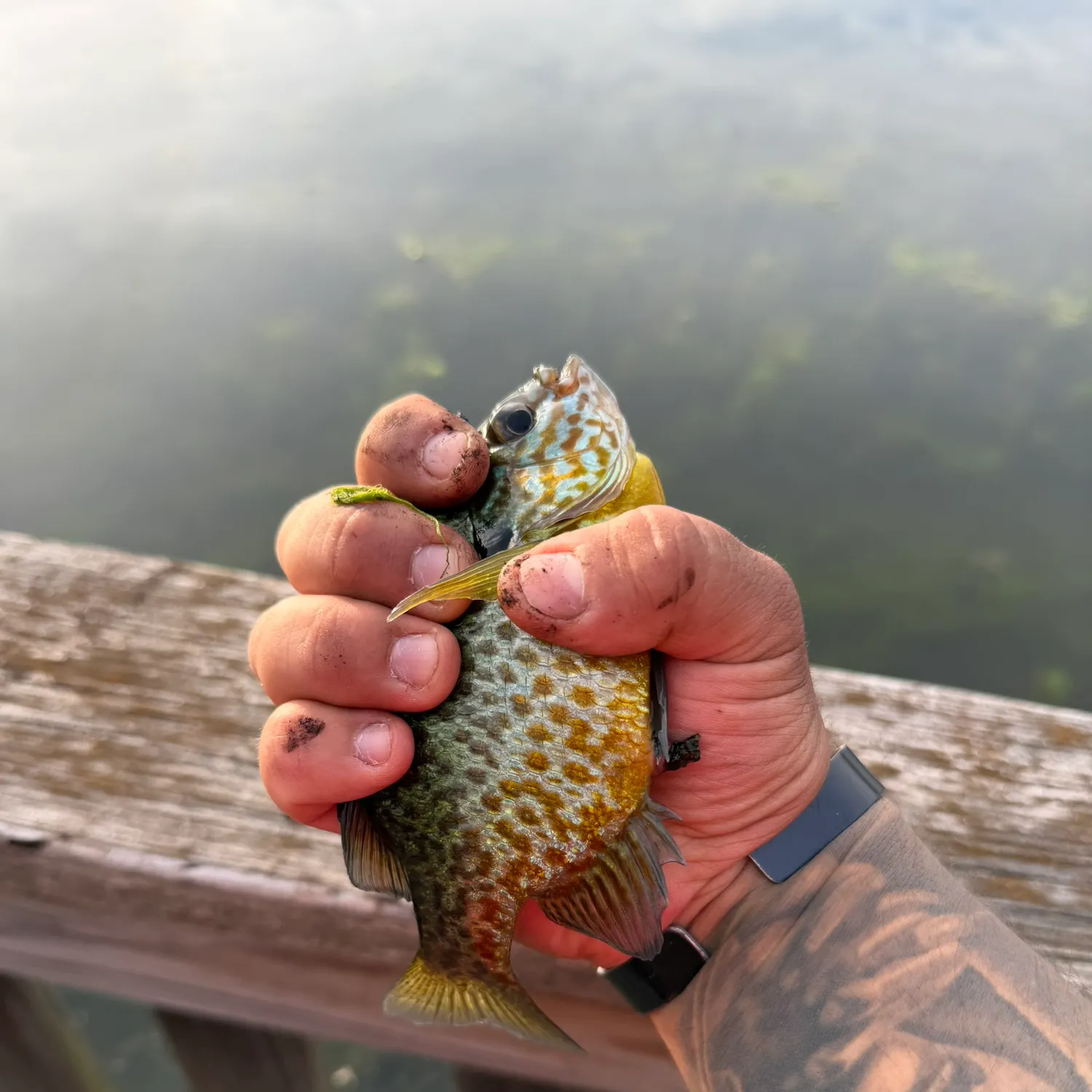 catch