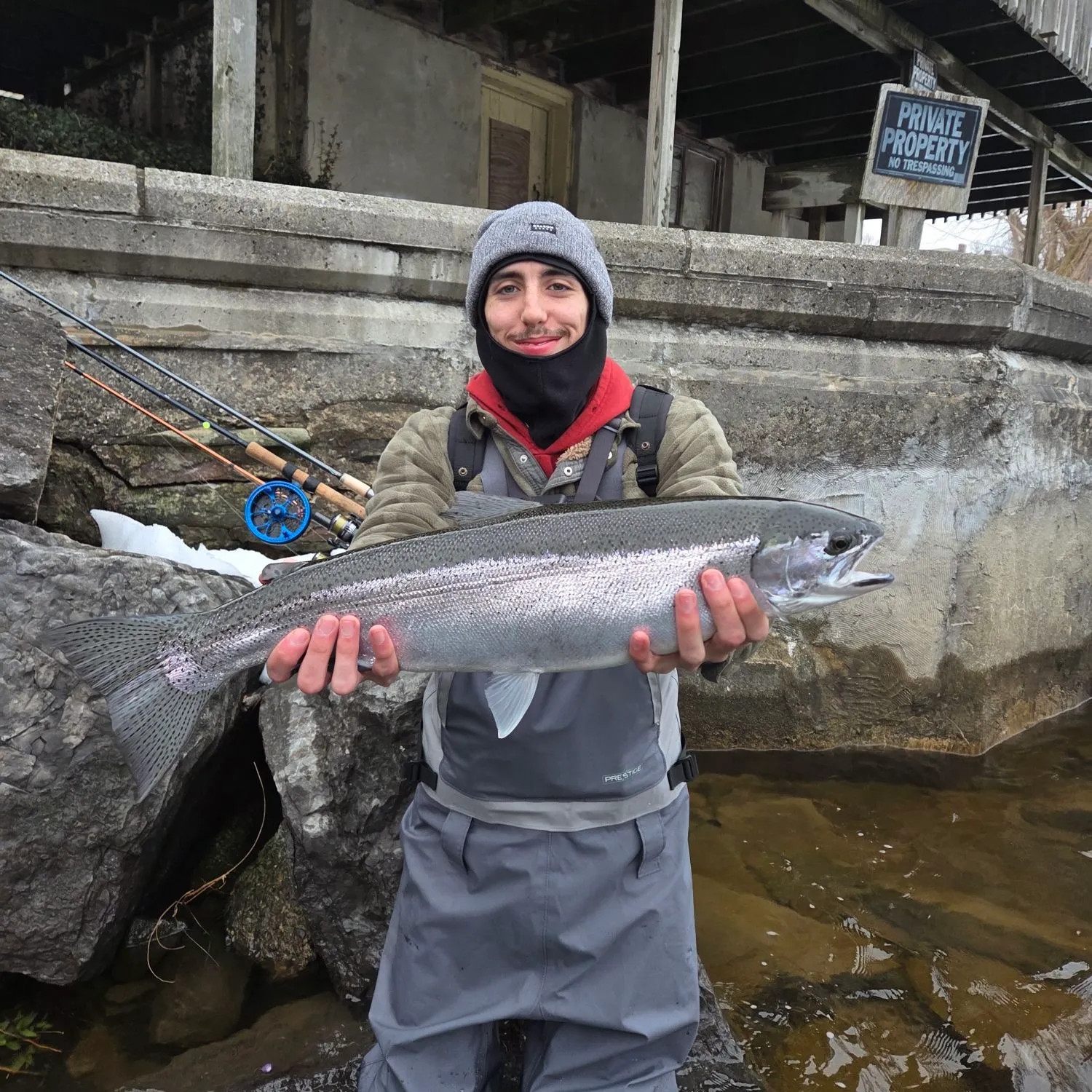 The most recent Steelhead catches on Fishbrain