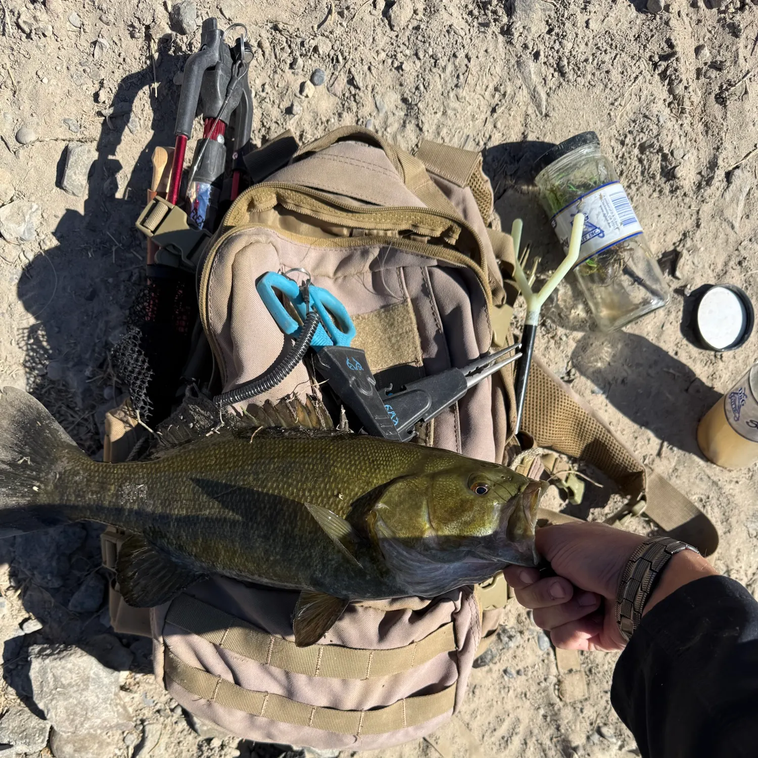Smallmouth bass caught on Fishbrain
