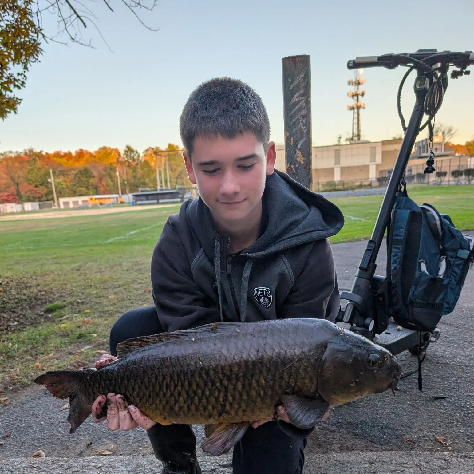 Common carp caught on Fishbrain