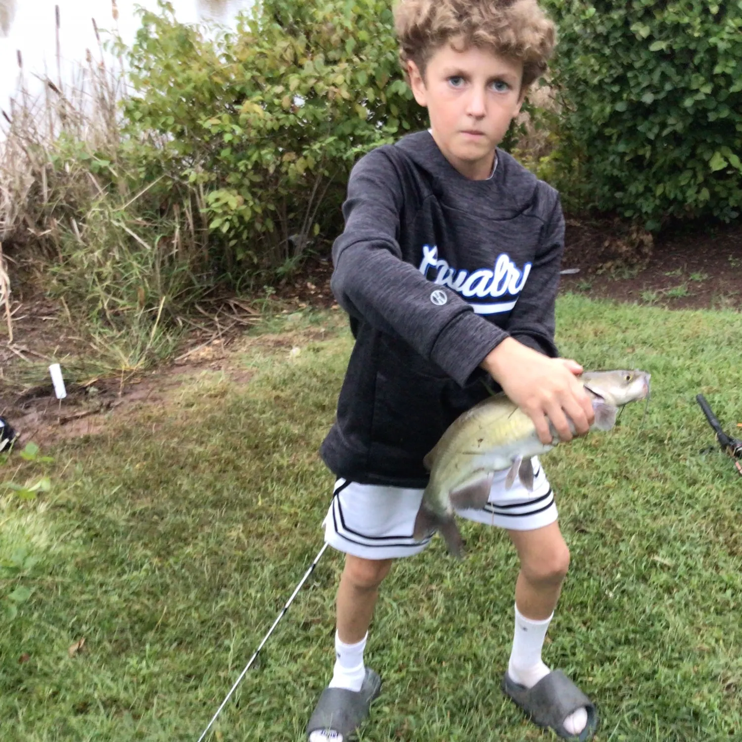 Channel catfish caught on Fishbrain