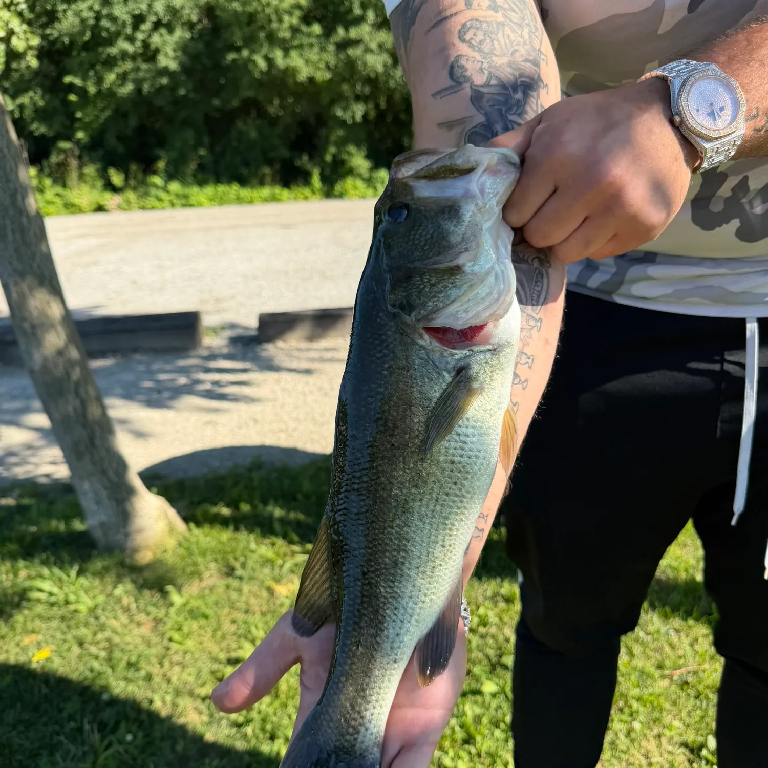catch