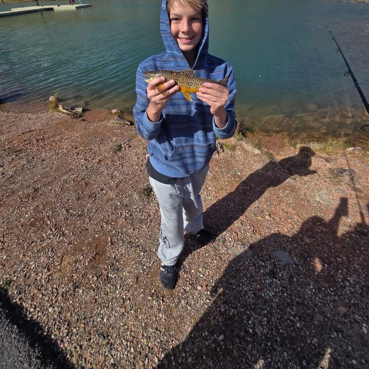 Tiger trout caught on Fishbrain