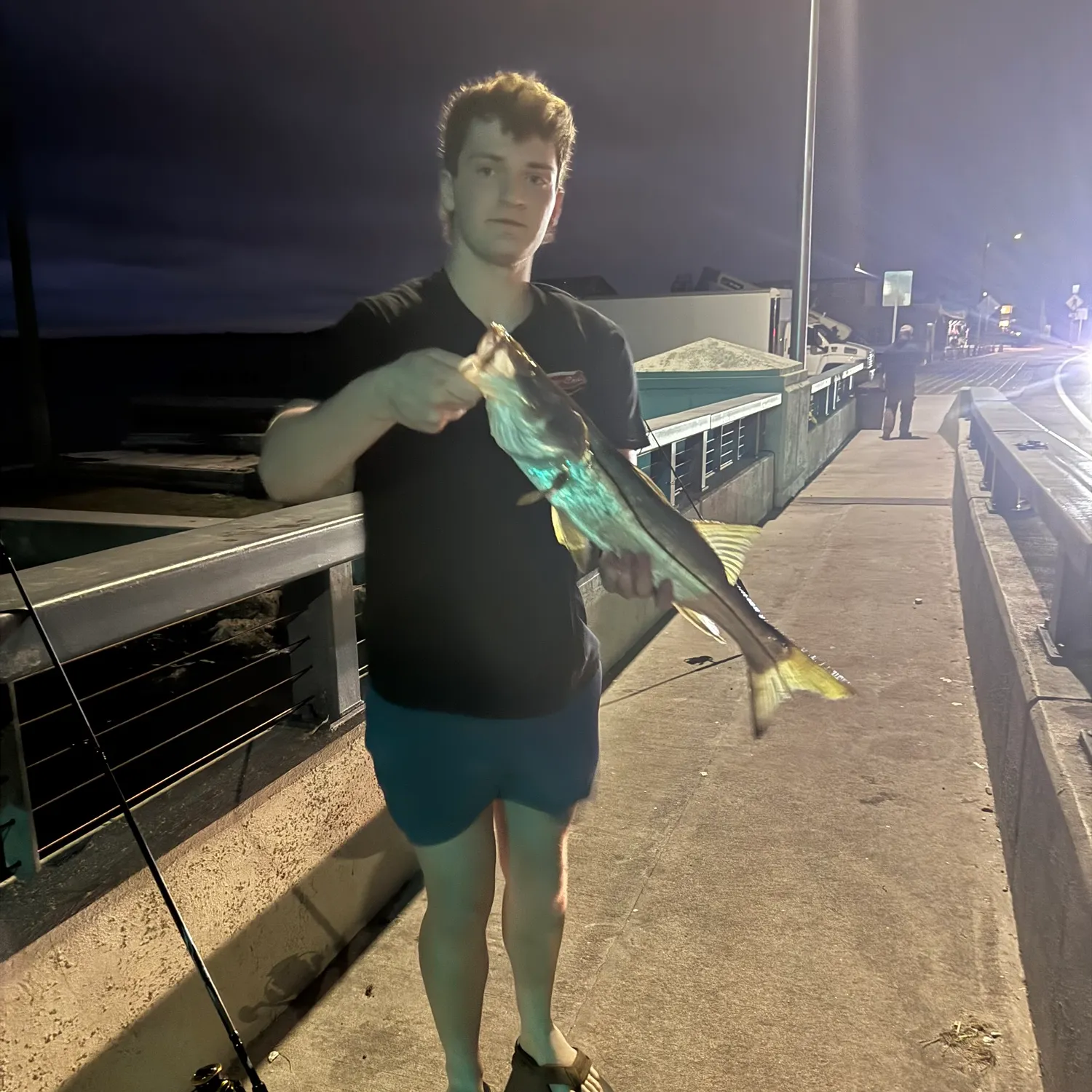 The most recent Common snook catches on Fishbrain