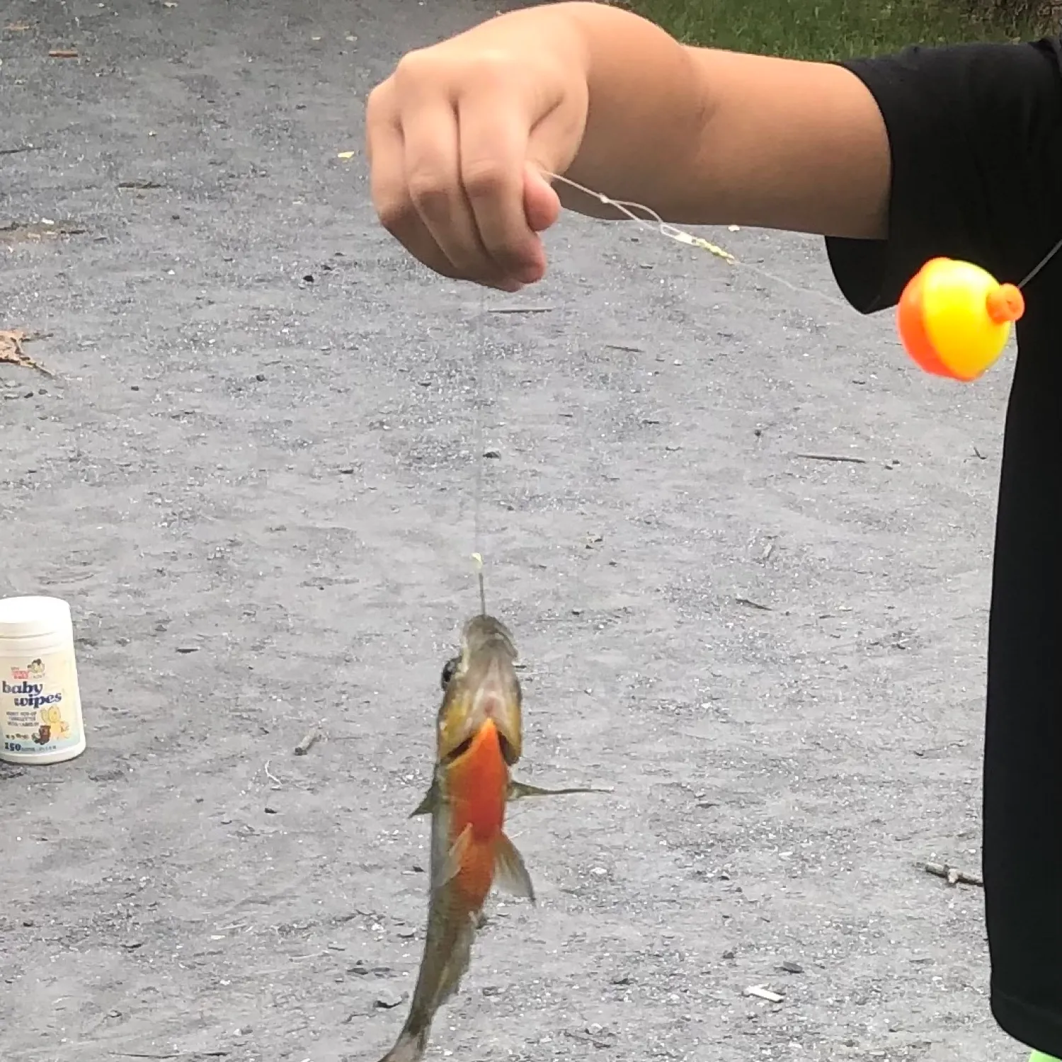 catch