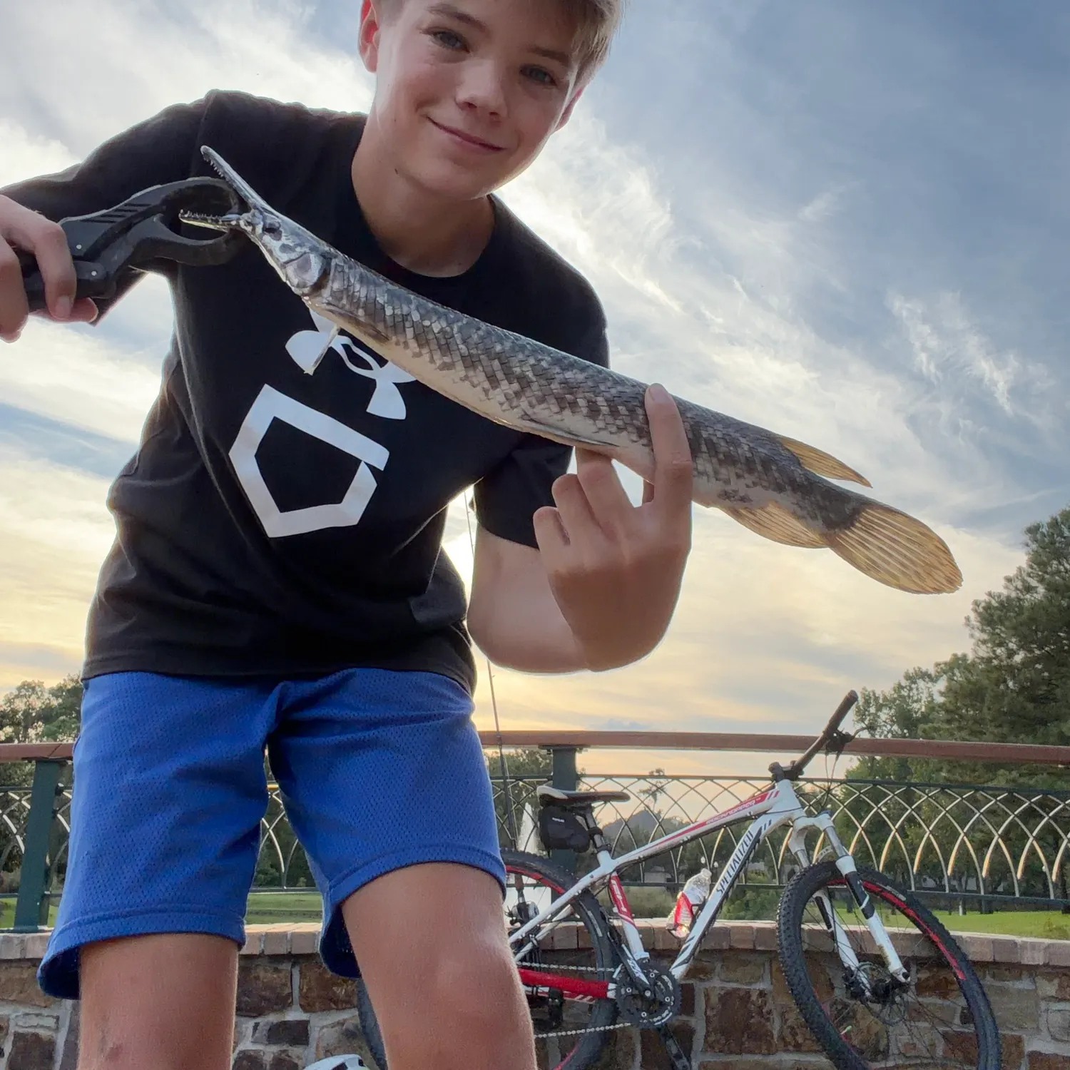 The most recent Spotted gar catches on Fishbrain