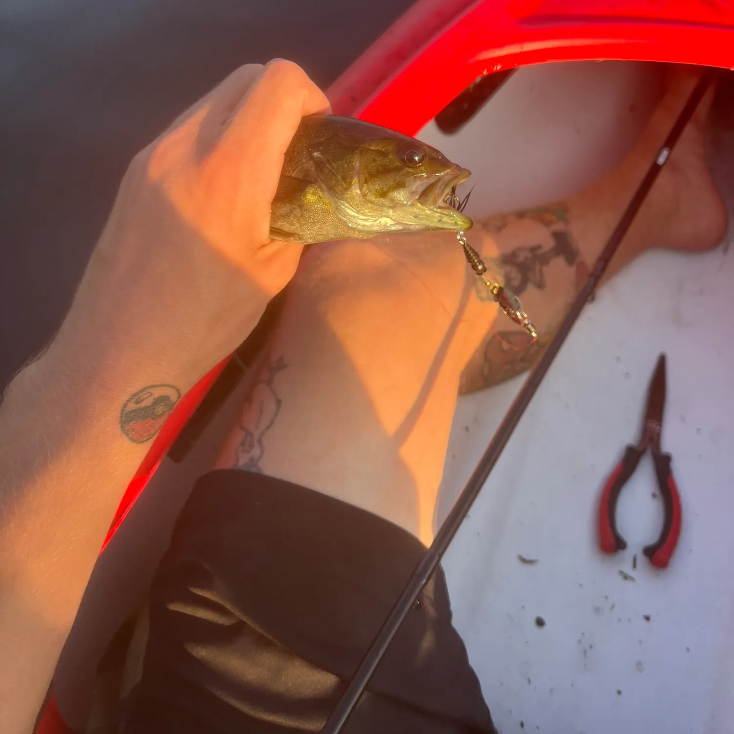 recently logged catches