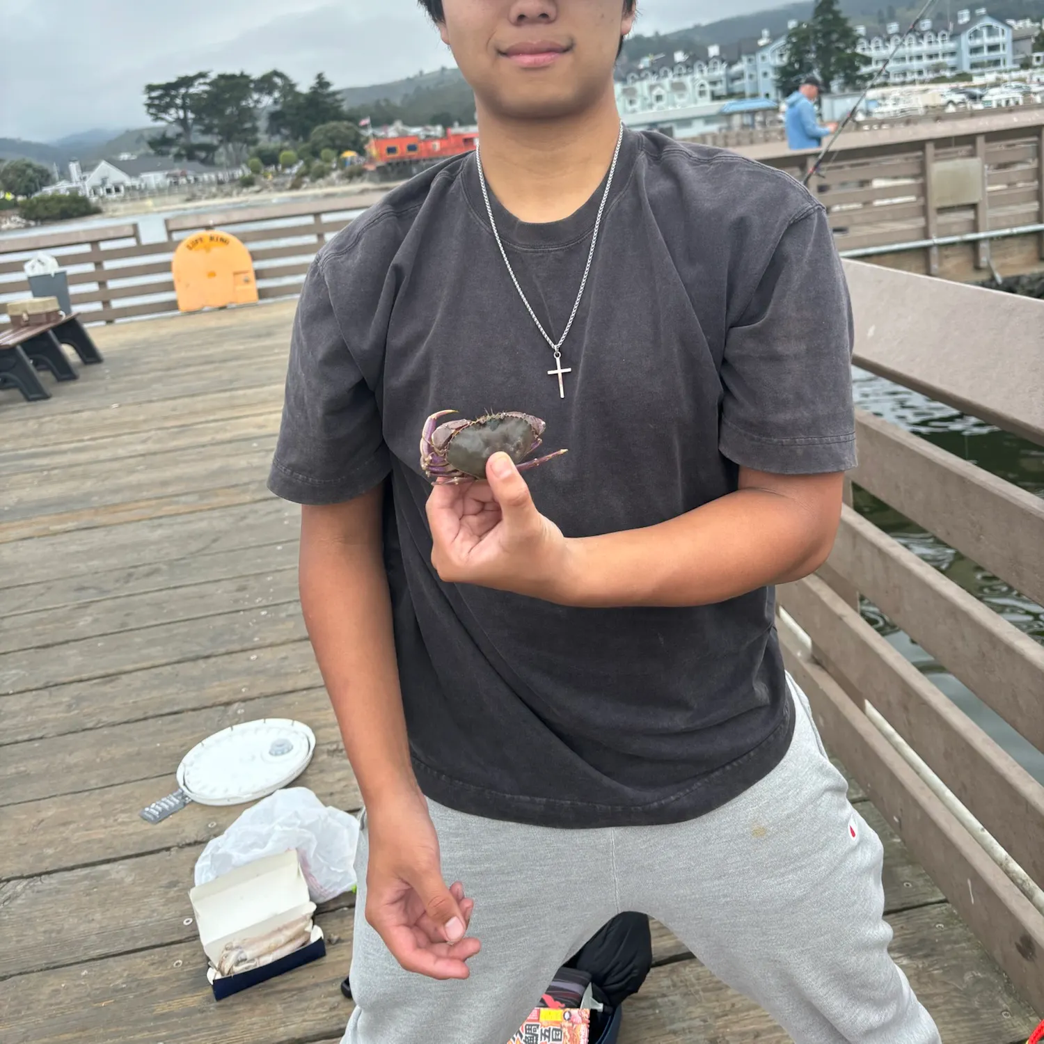 The most recent Graceful rock crab catches on Fishbrain