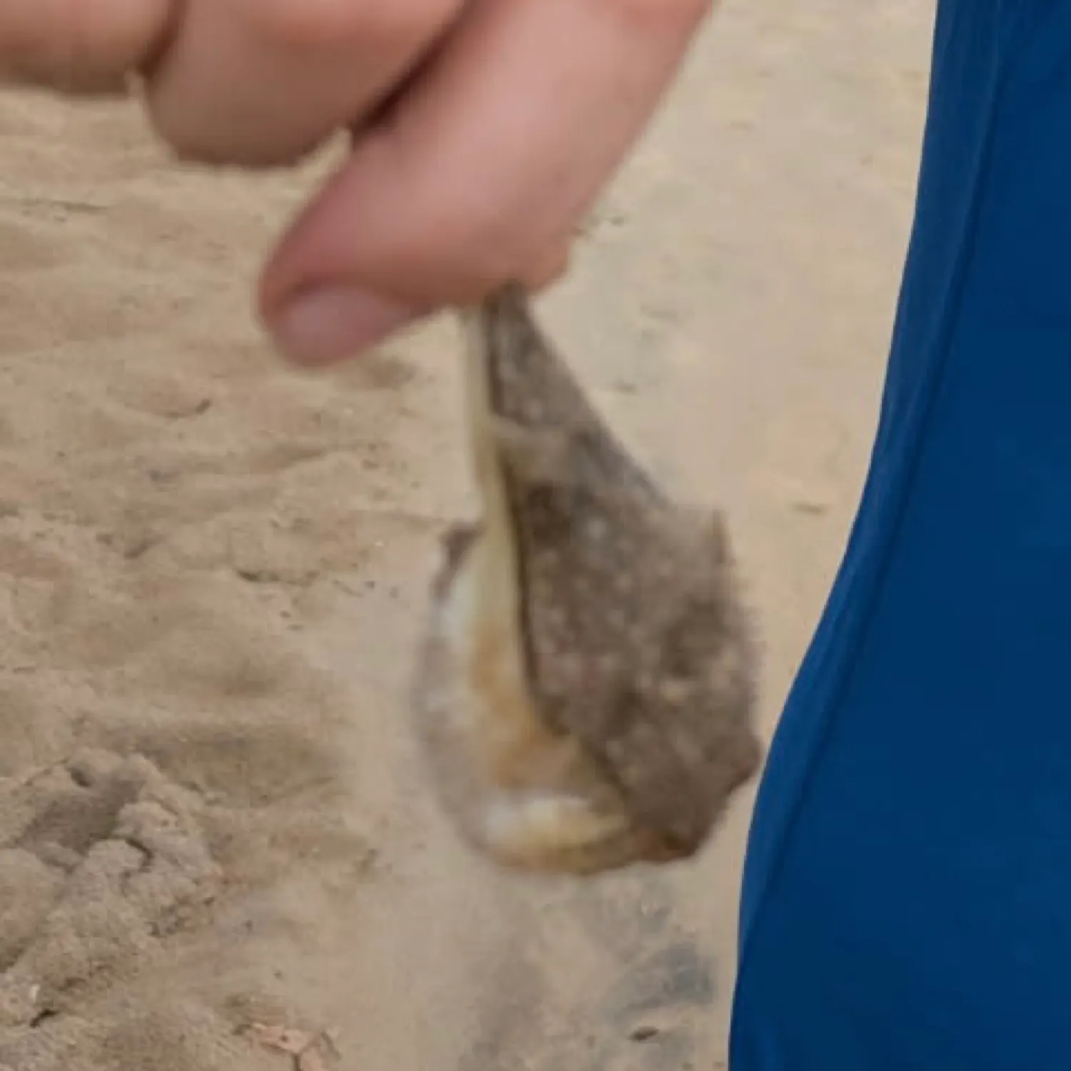 most liked catch image