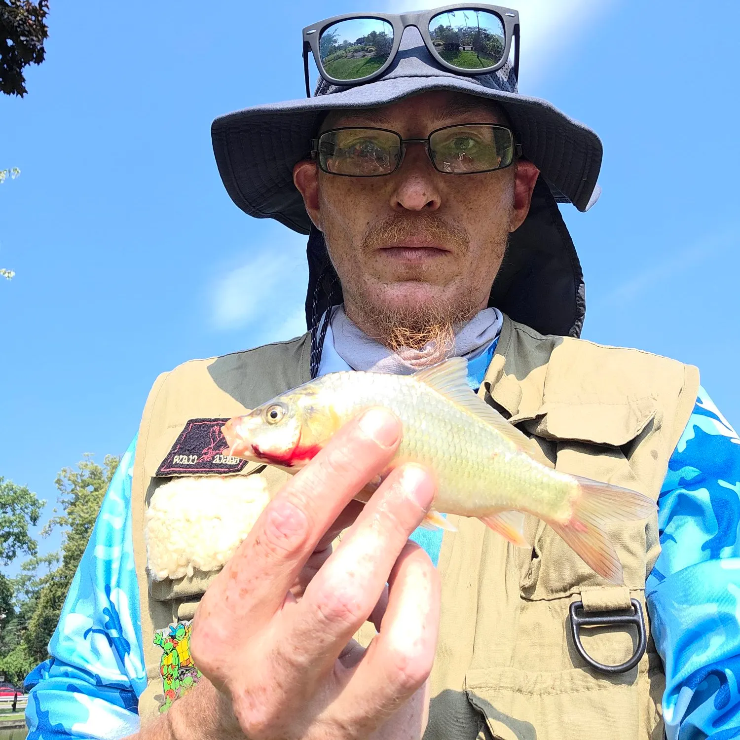 The most recent River carpsucker catches on Fishbrain