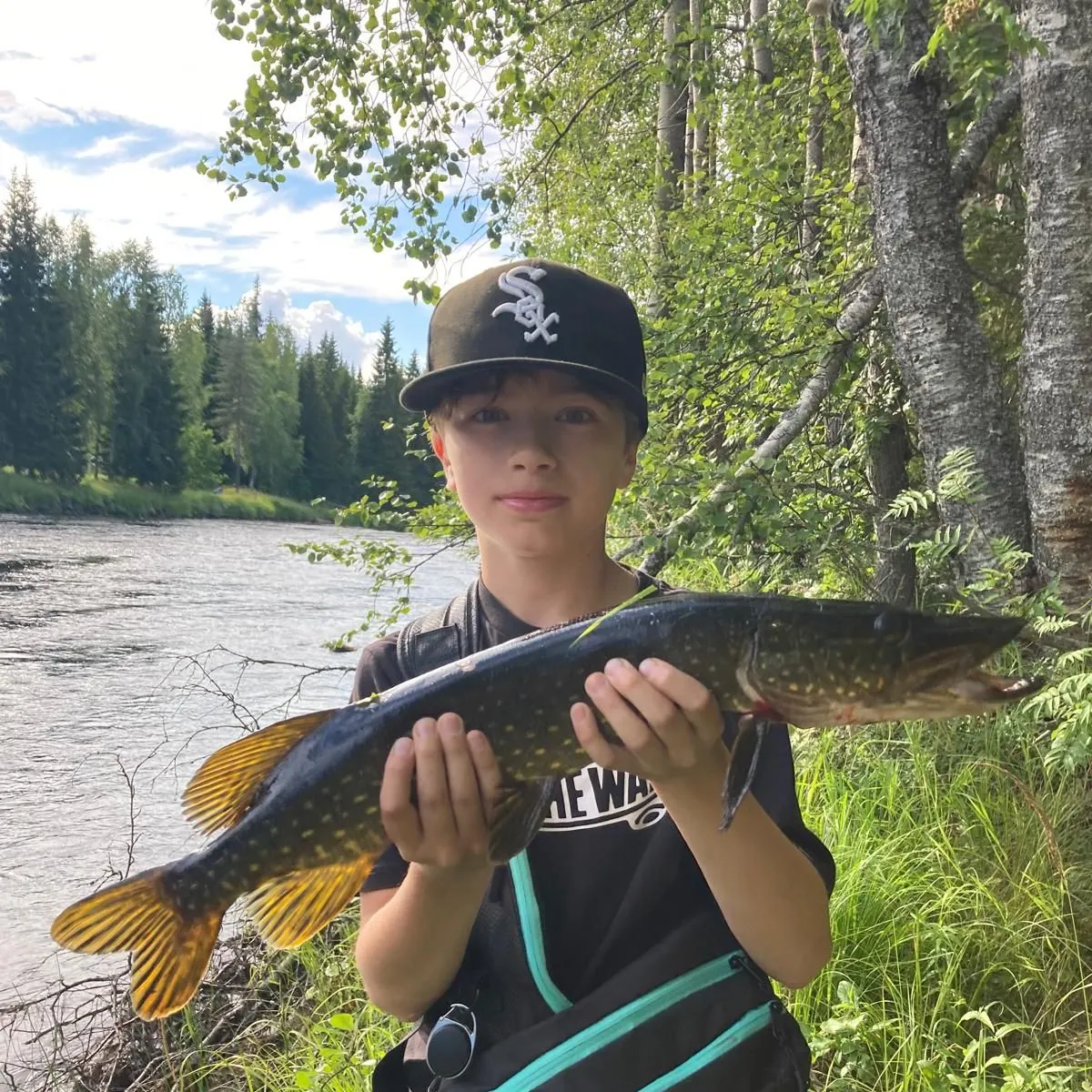 Northern pike caught on Fishbrain