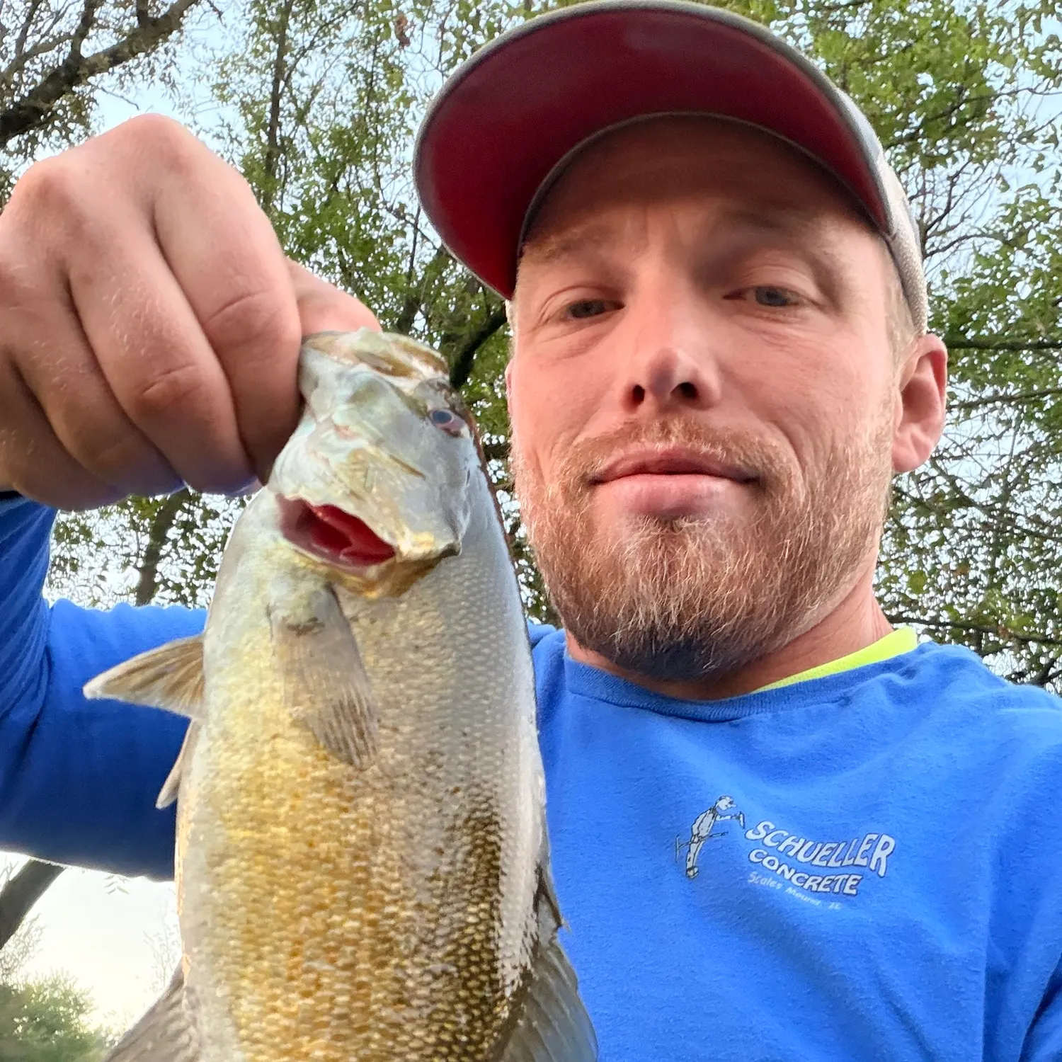 Smallmouth bass caught on Fishbrain