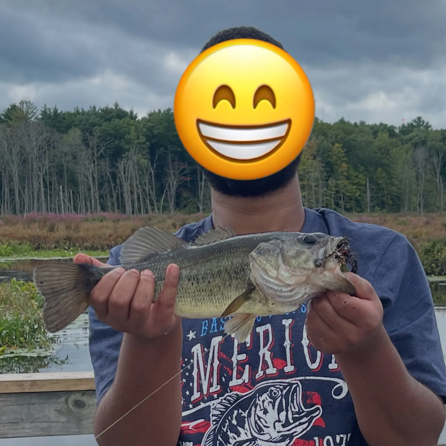 Largemouth bass caught on Fishbrain