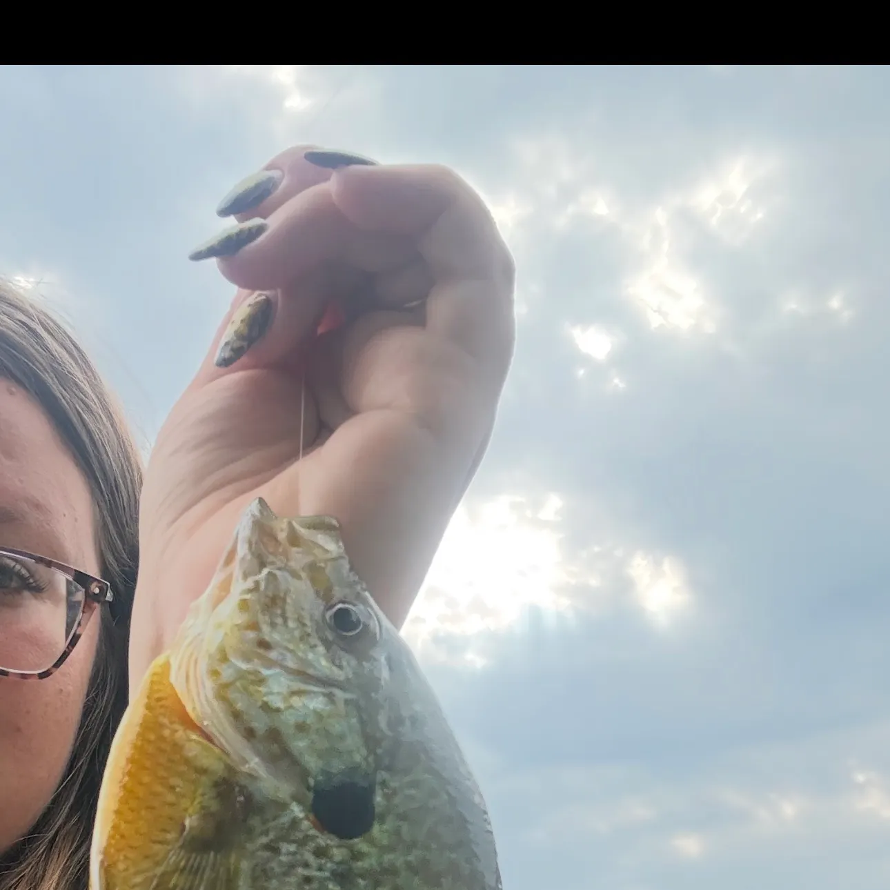 Greengill hybrid caught on Fishbrain