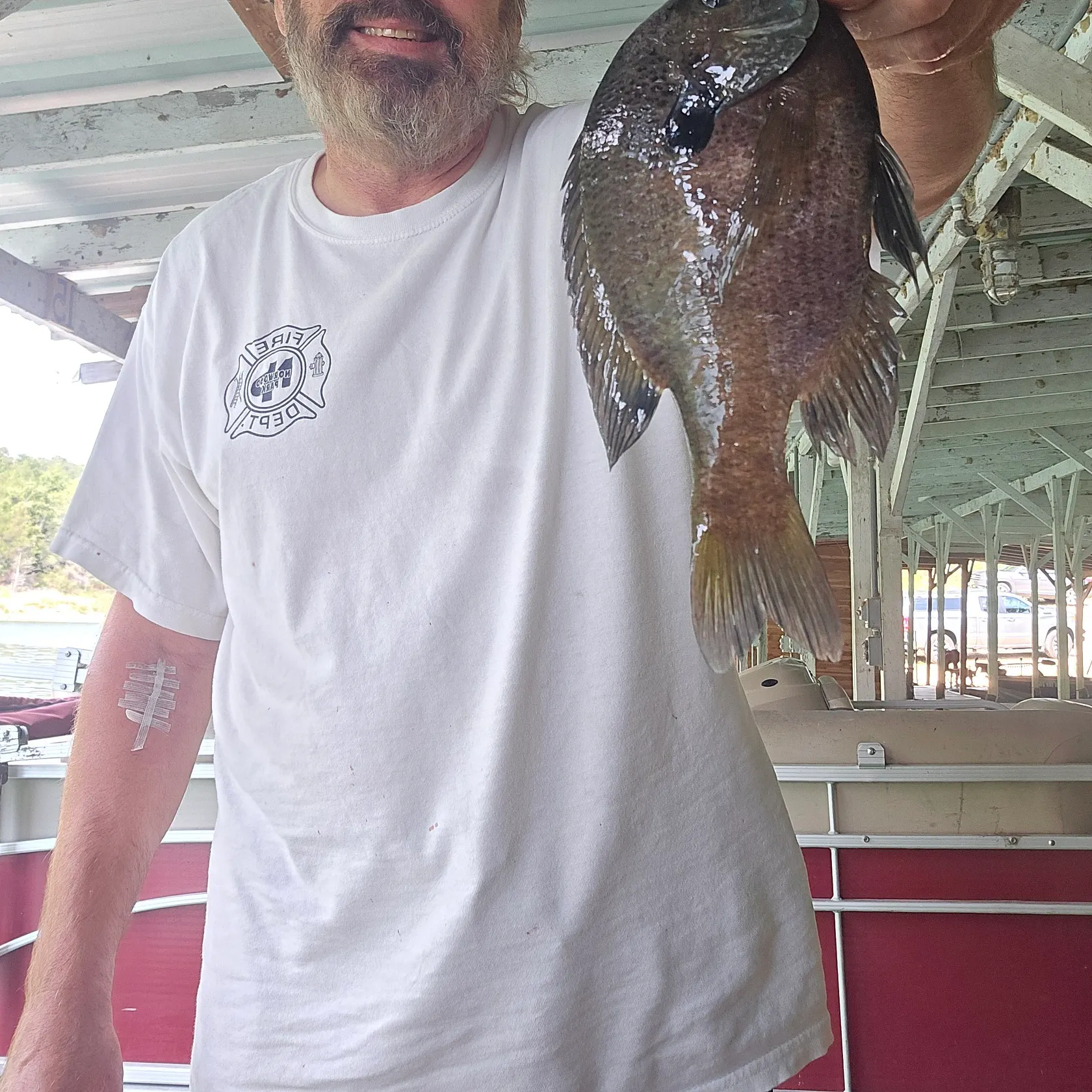 Bluegill caught on Fishbrain