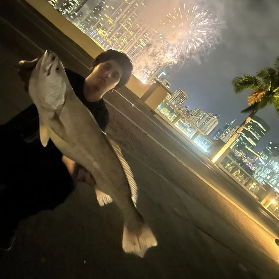 Fish caught on Fishbrain