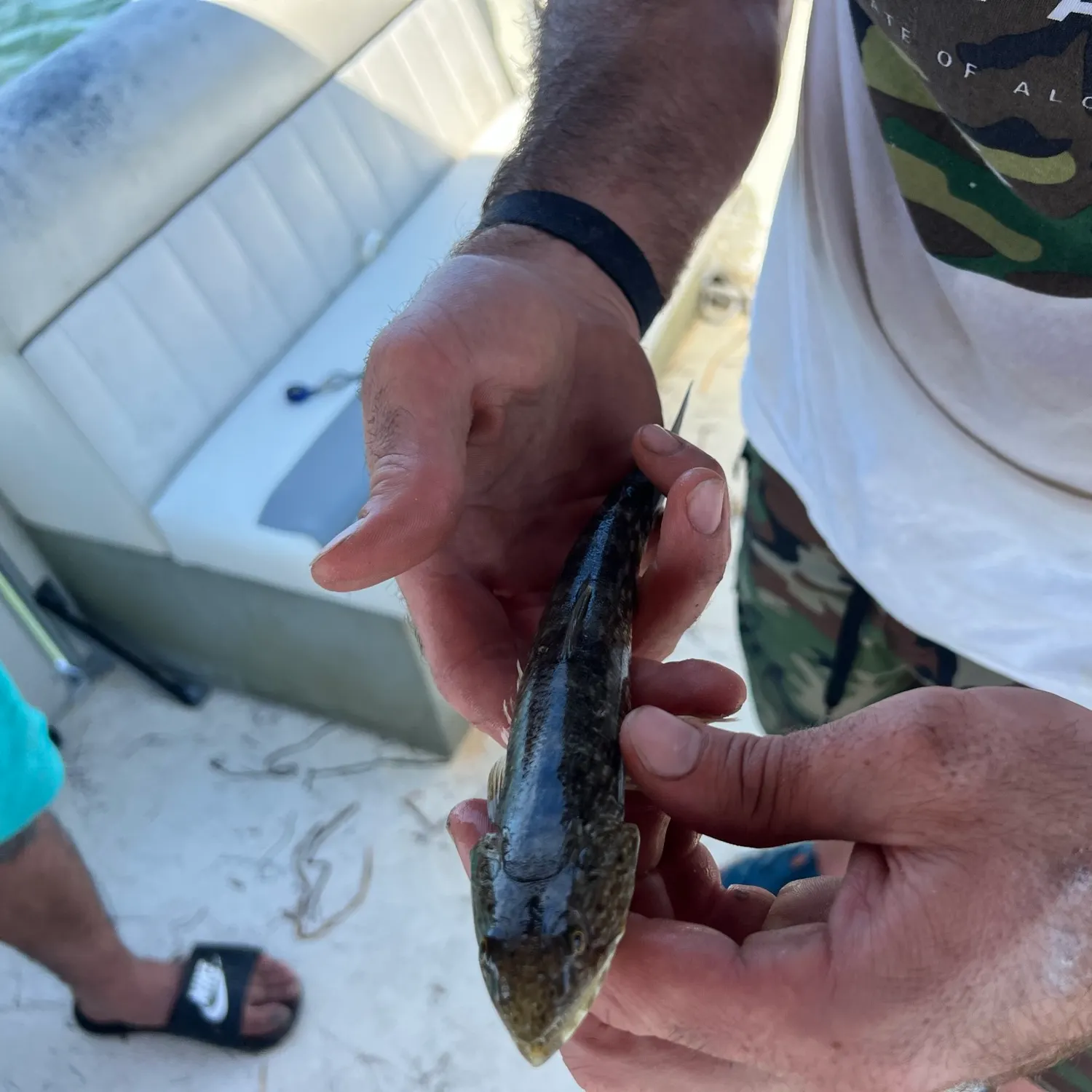 angler catch