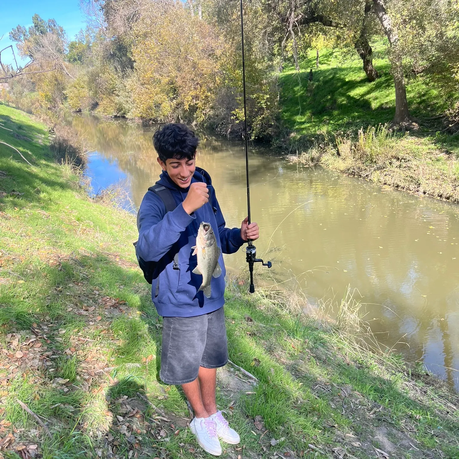 The most recent Great white shark catches on Fishbrain