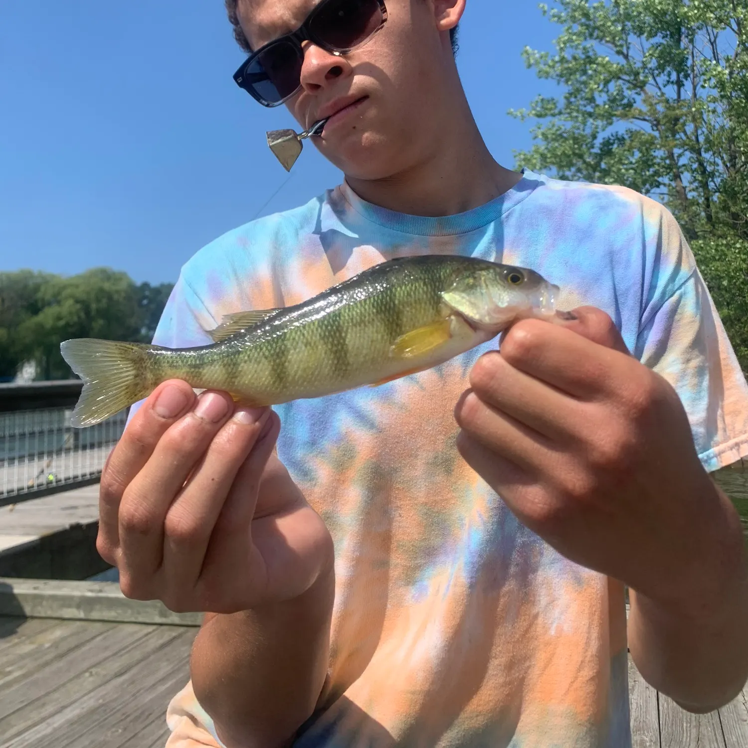 catch